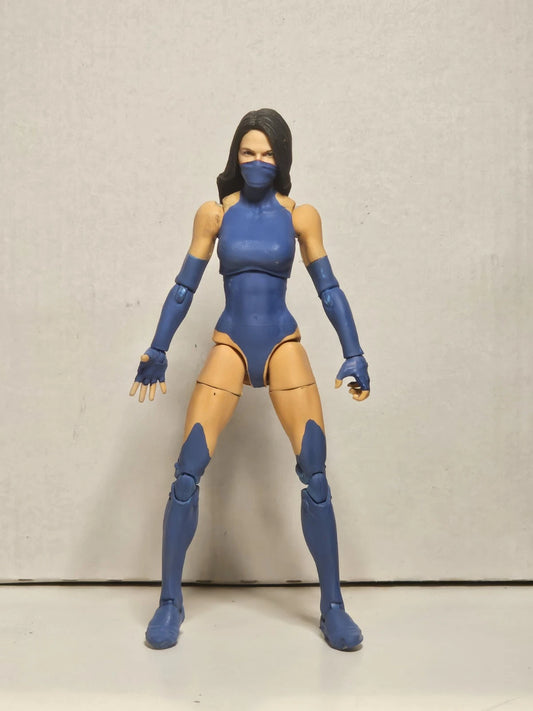 Custom Kitana Mortal Kombat Gi Joe Classified Marvel Legends