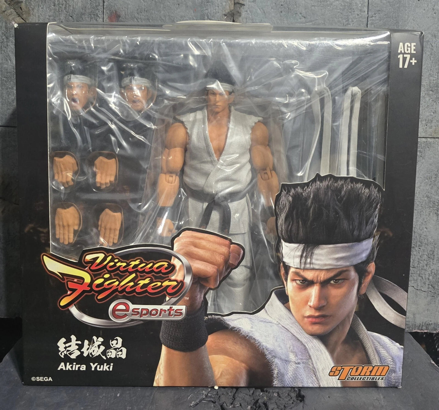 Storm Collectibles Virtua Fighter e-Sports Akira Yuki Action Figure
